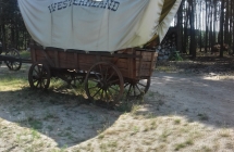 20190626_101336_Richtone(HDR)