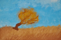 Katarzyna Bergandy Maja Grzelka Natalia Bielecka