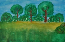 Aleksandra Nowakowska