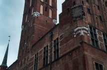 215382224_895726921382443_6730748876073326377_n