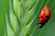 1375100621_0_i-miejsce-paula-janiak-biedronka