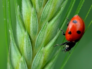 1375100621_0_i-miejsce-paula-janiak-biedronka