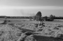 1375100722_3_ii-miejsce-karol-fornalczyk