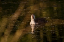 1375100974_0_iii-miejsce-monika-kutkowska