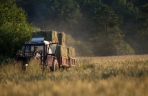 1375100975_1_iii-miejsce-monika-kutkowska