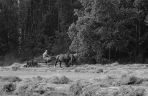 1375100723_4_ii-miejsce-karol-fornalczyk