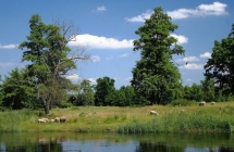 1375100722_2_ii-miejsce-karol-fornalczyk