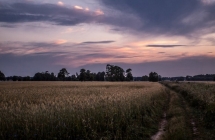 1375100976_3_iii-miejsce-monika-kutkowska