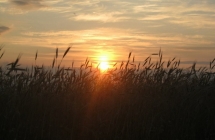 1375101103_0_aleksandra-borowska