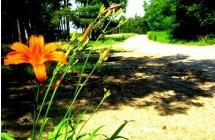 1375101048_4_agnieszka-borowska