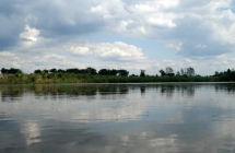 1375101161_1_damian-jakubasz