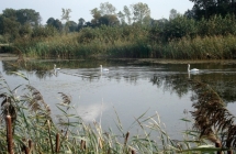 1375101160_0_damian-jakubasz