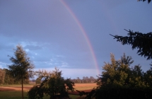 1375101162_2_damian-jakubasz