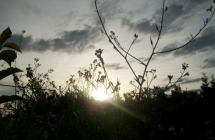 1375101214_3_dominika-bartnik