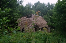 1375101162_3_damian-jakubasz