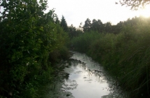 1375101215_4_dominika-bartnik