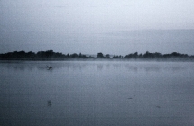 1375101261_0_dominika-wolf