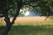 1375101354_0_jerzy-klimek