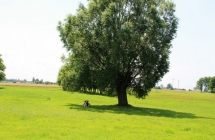 1375101355_1_jerzy-klimek