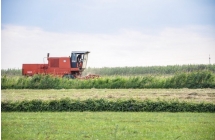 1375101437_0_joanna-szmagaj-piotrowska