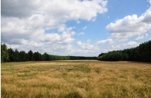 1375101437_1_joanna-szmagaj-piotrowska