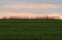 1375101439_4_joanna-szmagaj-piotrowska