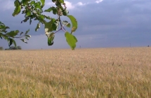 1375101837_2_justyna-orligora