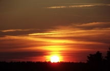 1375101966_2_katarzyna-skotarek