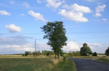 1375102063_1_klaudia-gruszczynska