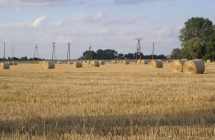 1375102062_0_klaudia-gruszczynska