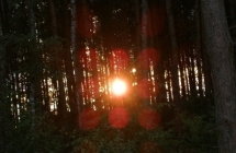 1375102064_3_klaudia-gruszczynska