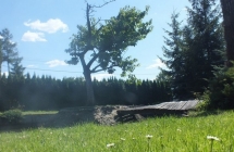 1375102123_2_marcelina-koralewska