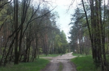 1375102122_0_marcelina-koralewska