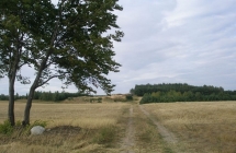 1375102063_2_klaudia-gruszczynska