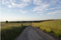 1375102162_0_marta-zielinska