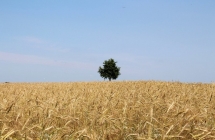 1375102239_1_martyna-klimek