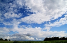 1375102240_2_martyna-klimek