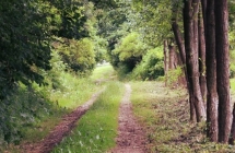 1375102345_0_nikola-kwiatkowska