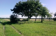 1375102298_2_natalia-kowalska