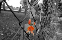 1375102426_1_rafal-kaciak