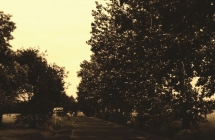 1375102428_4_rafal-kaciak