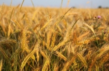 1375102241_3_martyna-klimek