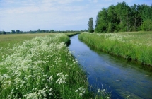 1375102573_2_tomasz-mecel