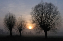 1375102574_4_tomasz-mecel